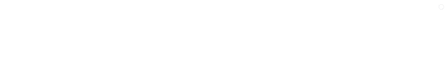 Vuzix